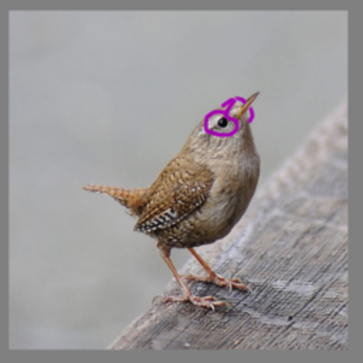 https://blueberrywren.dev/favicon.ico